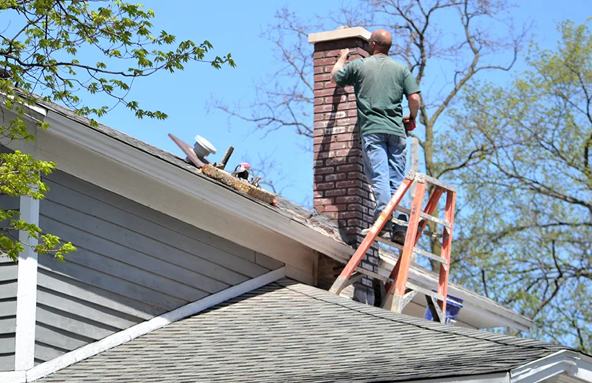 Chimney & Fireplace Inspections Services in North Arlington, NJ